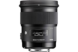 50mm F1.4 Art For Stunning Results