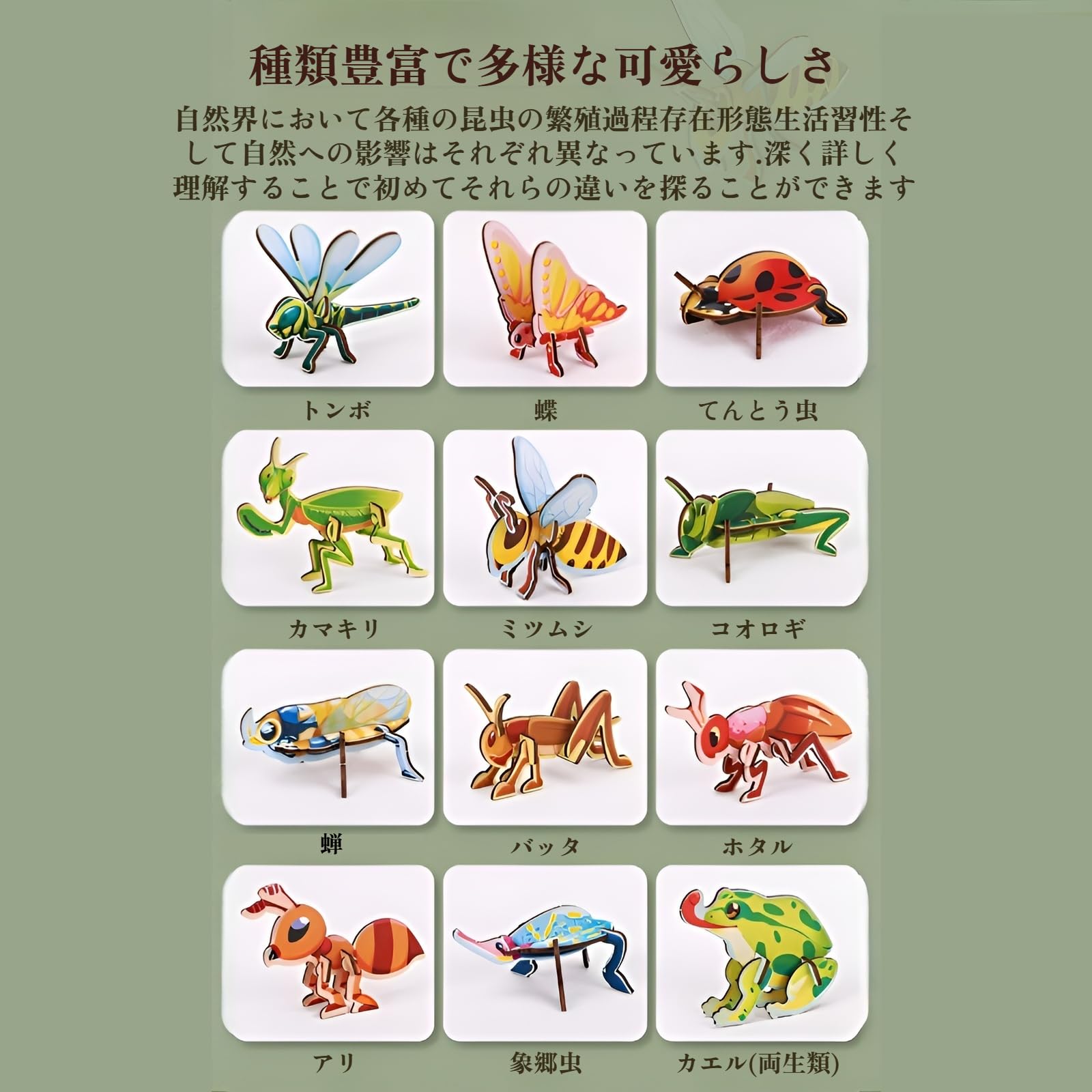 Amazon | [mocoly]3D立体昆虫パズル 木製知育玩具 ノリ不要12種セット