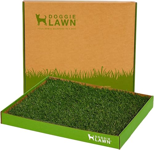 Bacinilla para perros desechable real zacate mediano 24 x 21 pulgadas Césped