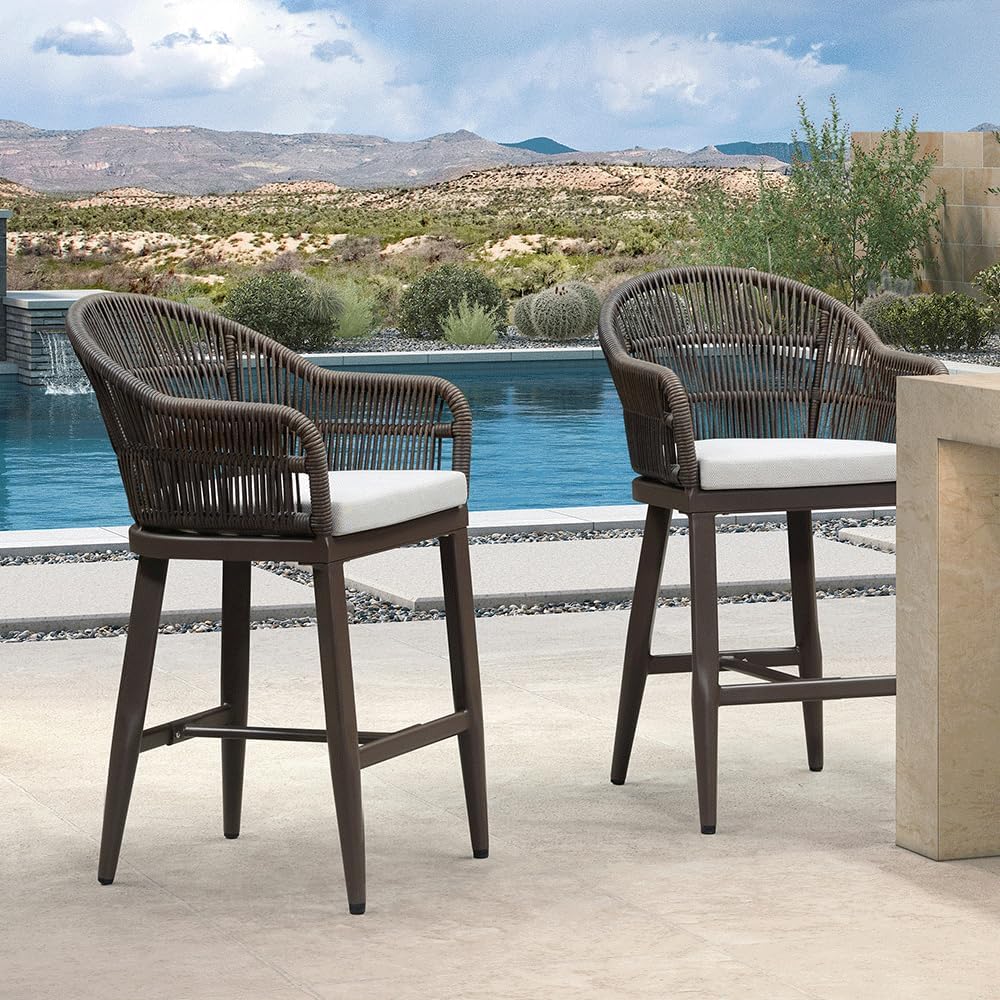 PURPLE LEAF Outdoor Counter Height Bar Stools Set of 2 Patio Metal Modern Wicker Rattan Bar Chairs Woven Aluminum Barstools with Back and Cushions for Balcony Garden Indoor Kitchen Outside Coffee