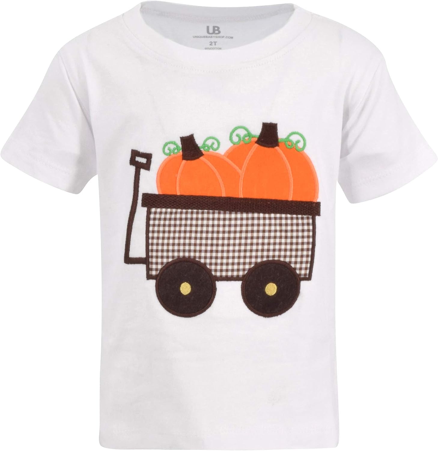 Unique Baby Boys 2pc Shorts Set Outfit Short Sleeve Shirt with Embroidery Design and Shorts