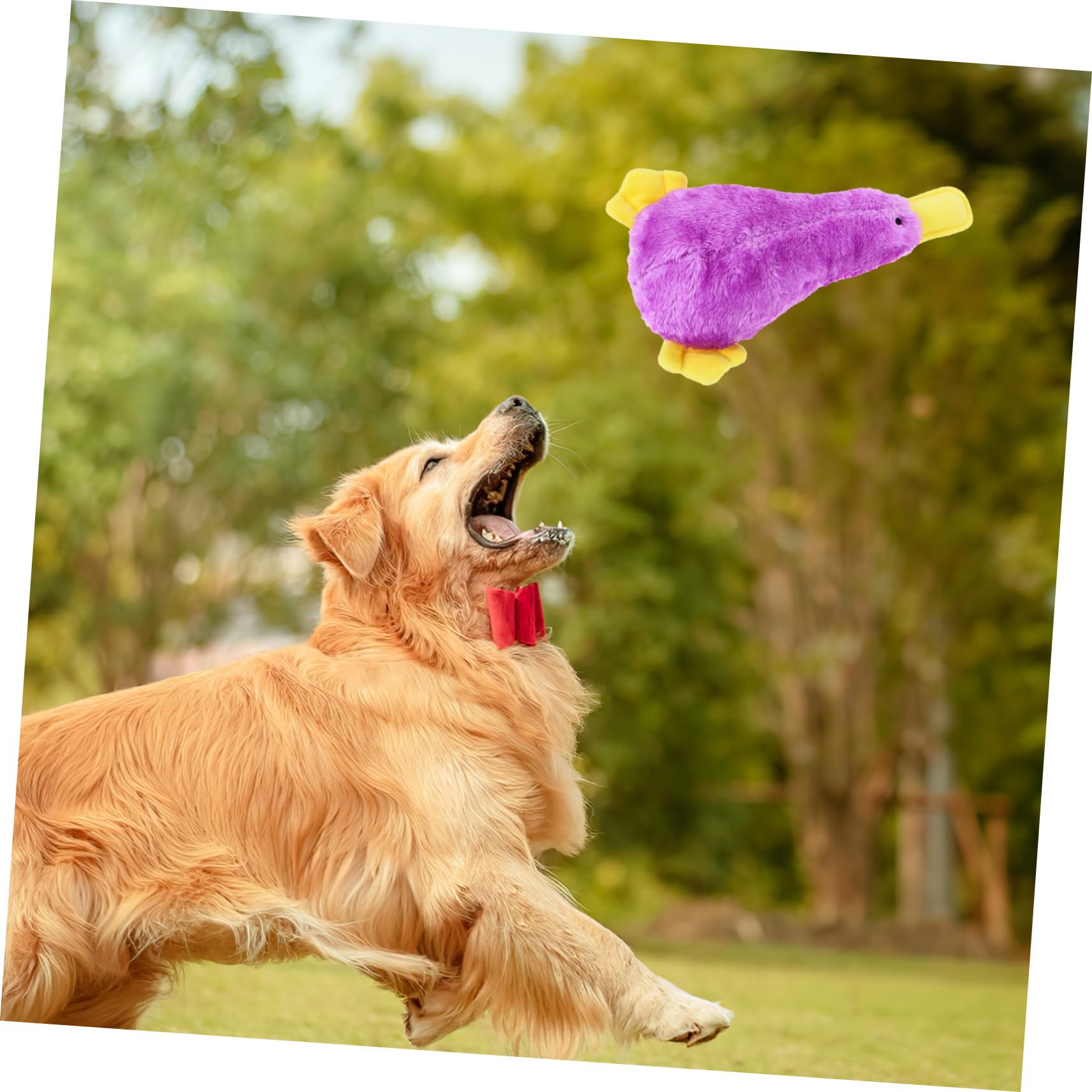 BESTonZON Jouet Peluche Chien Qui Couine Jouet à Mâcher pour Chiot Forme Oiseau Motif Dessin Animé