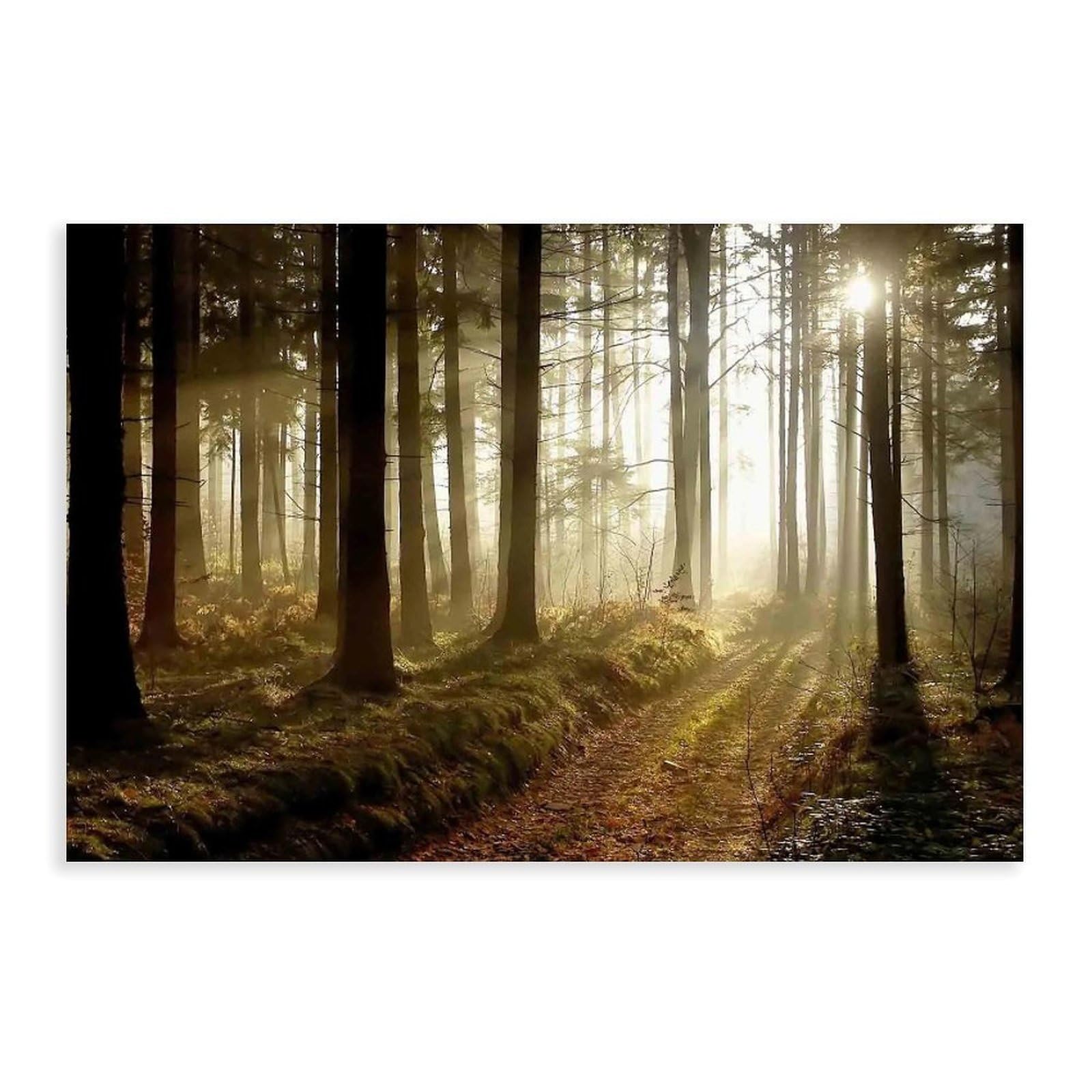 Bareronor Forest Landscape Poster Canvas Poster Bedroom Decor Landscape Office Room Decor Gift 24" L X 36" W