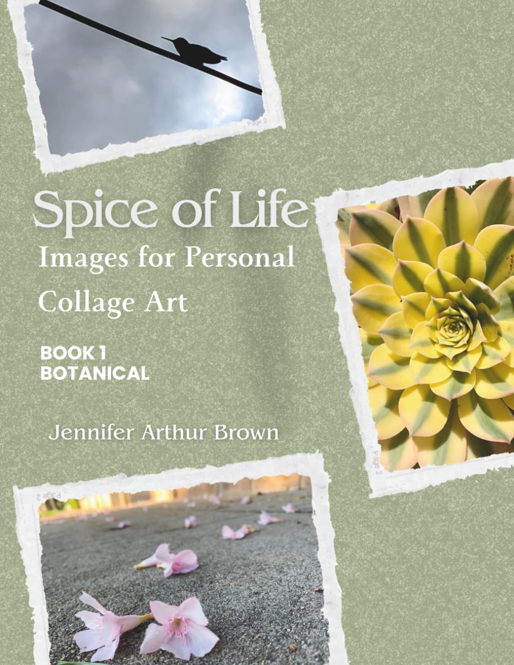 Spice of Life: Images for Personal Collage Art, Book 1 Botanical