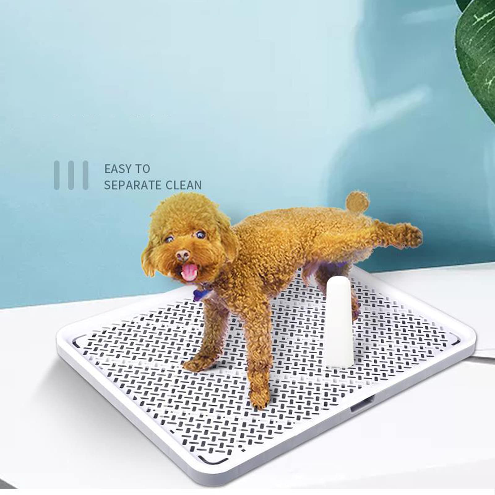 Große Hundetoilette Haustierhunde-Töpfchen-Urinal Kleiner Hund Großer Hundebedarf