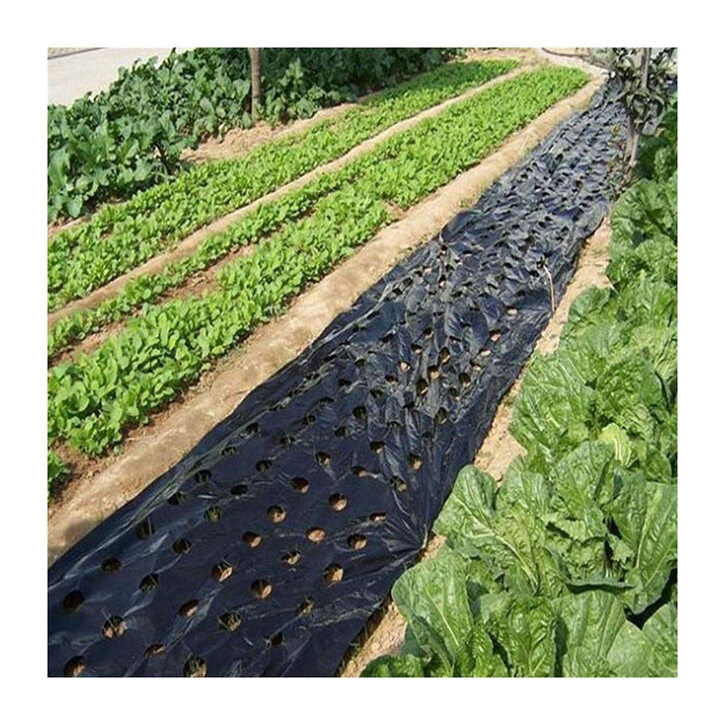 5~50m 5-otworowa czarna plastikowa folia ściółkująca do uprawy warzyw w szklarniach, utrzymująca ciepło, perforowana folia PE, przeciw trawom, 1 szt.(50 Meters)