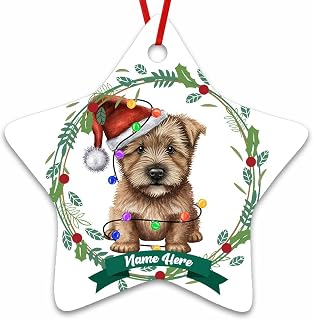 Dinoz Merry Christmas Tree Dog Animal Ornament, Watercolor Animal Lovers Tree Decor Hanging Keepsake Gifts Star Ceramic Ornament Personalized Name