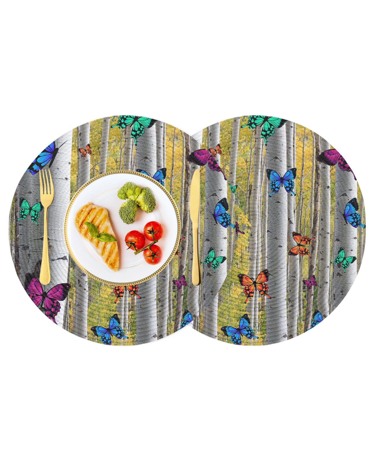 Round Braided Placemats Set of 2 Non-Slip, Florals Butterfly White Birch 15 Inch Heat Resistant Washable Woven Place Mats Outdoor Table Mats for Dining Table Kitchen Decor