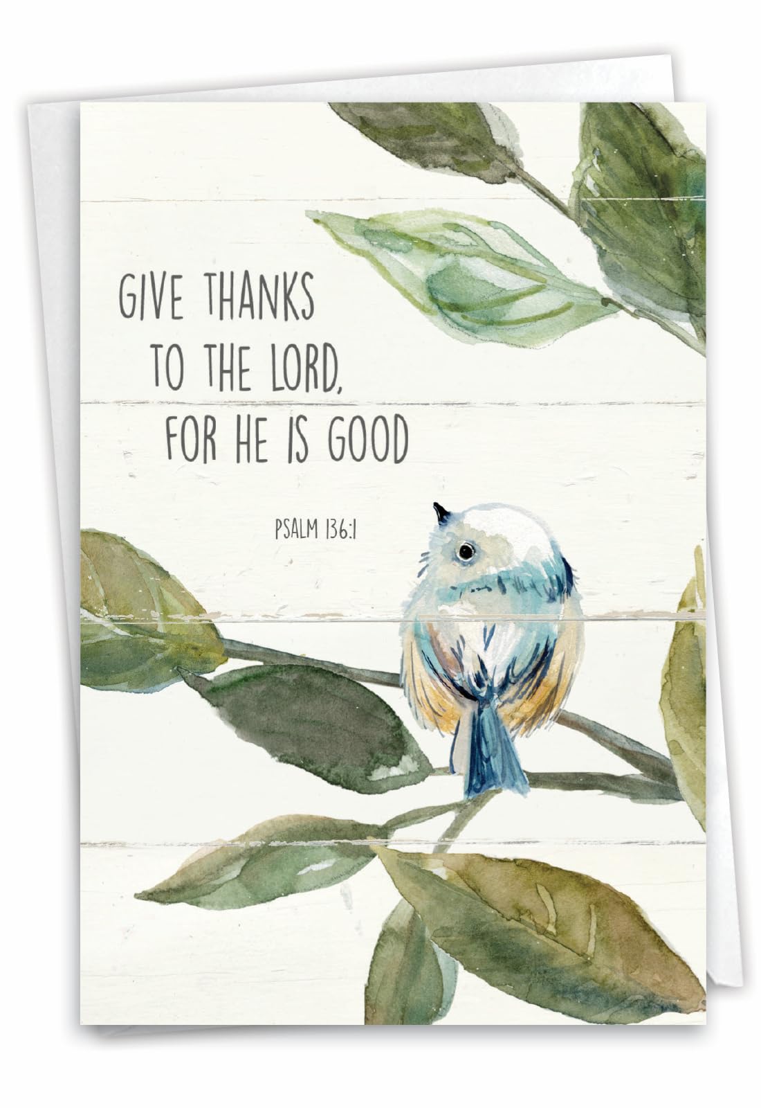 The Best Card Company Thank You Greeting Card with 5 x 7 Inch Envelope (1 Card) Scripture Birds C7108ETYG
