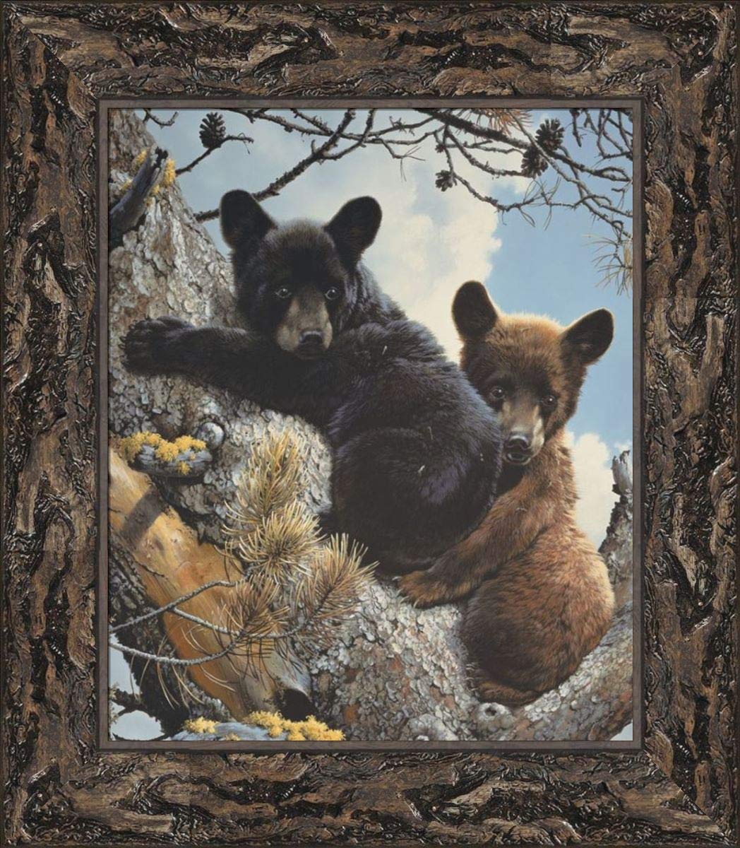 Amazon.com: High Adventure by Carl Brenders 28x32 Black Bear Cubs