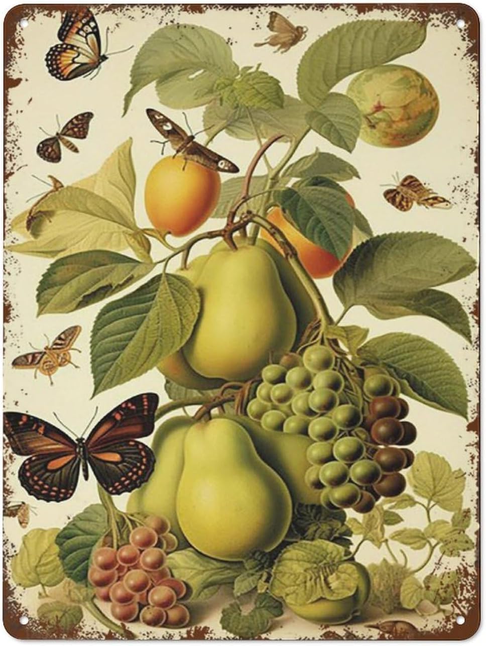 Pear Fruit Vintage Poster Botanical Grapes Wall Art Kitchen Decor Cottage House Print Vintage Guest Wall Decor Art Sign Embossed Metal Signage Ornamental Horticulture Decor Poster Home 8"x12"