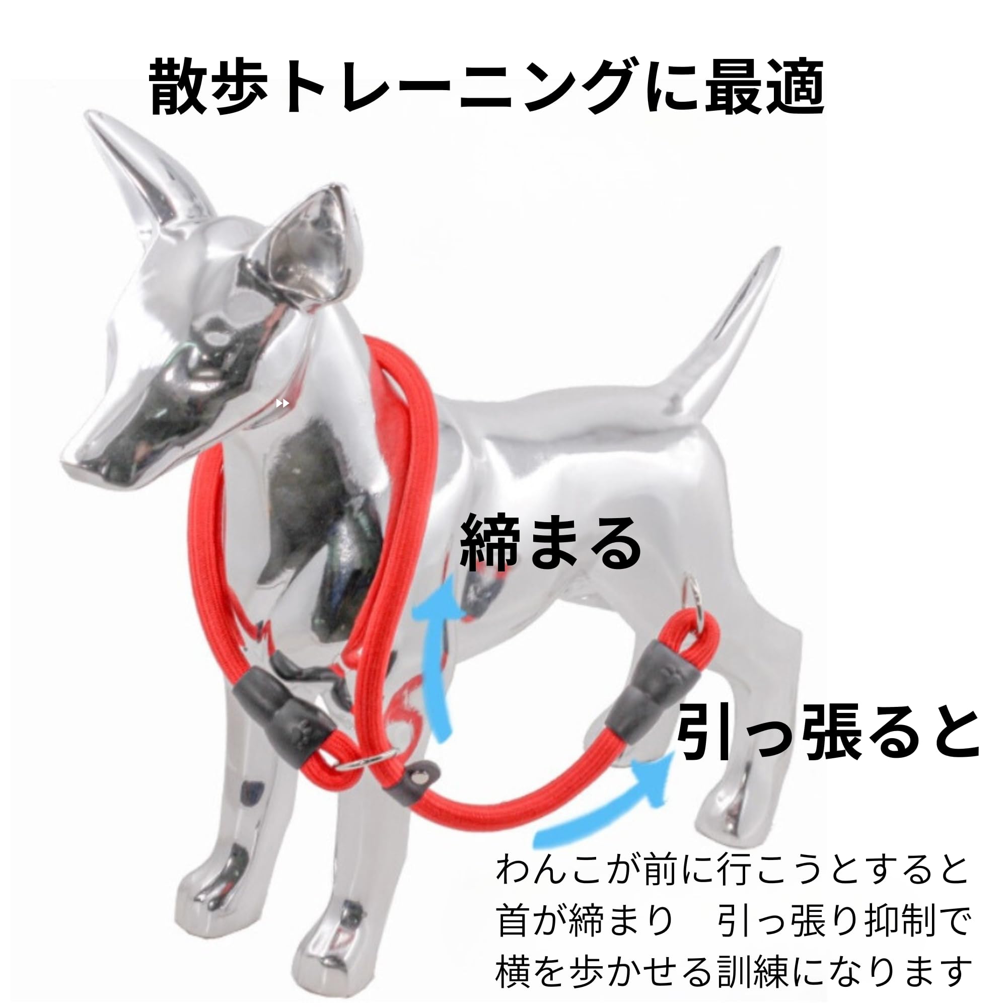 Amazon | 【WonderPawz】 スリップリード 大型犬調教