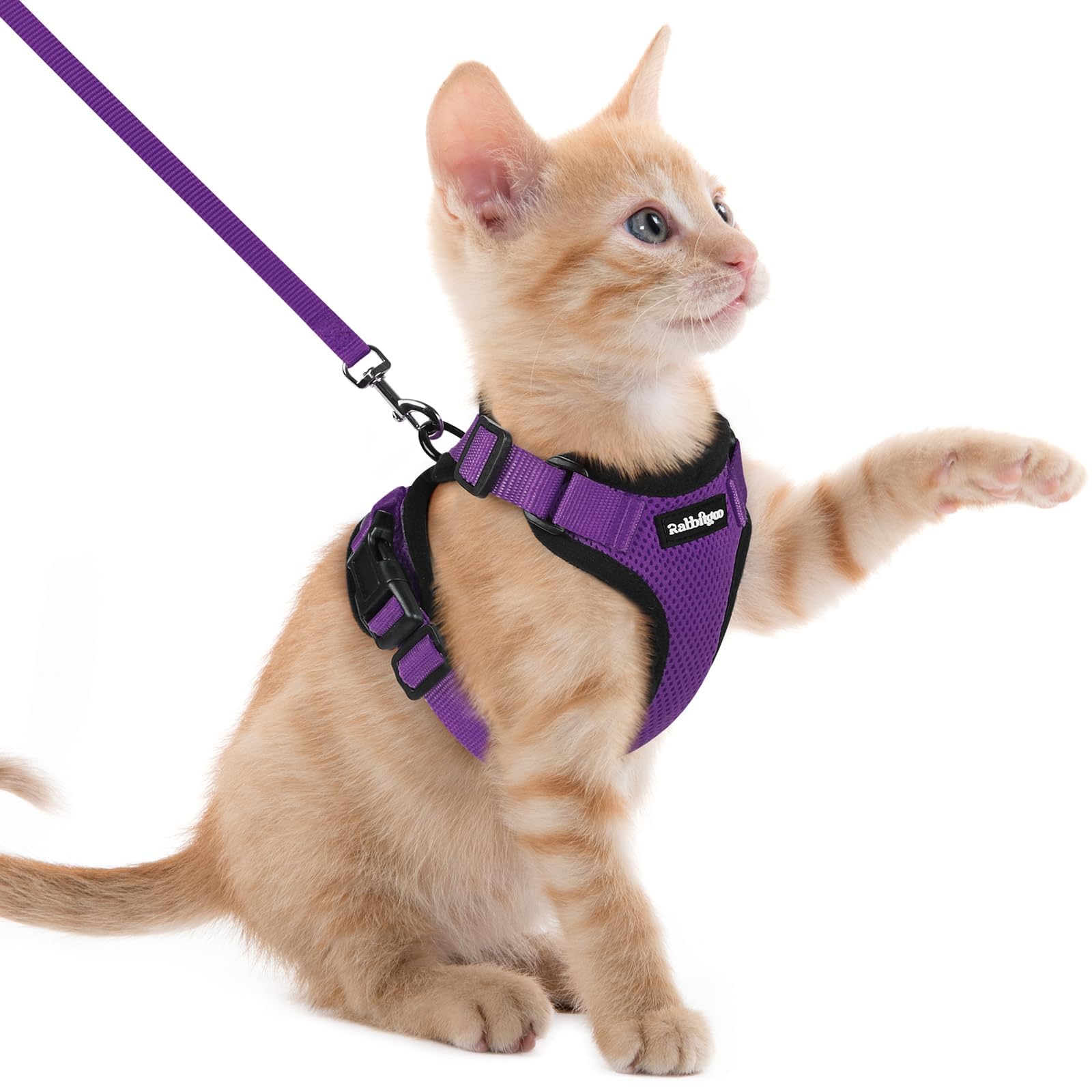 rabbitgoo Cat Harness and Leash for Walking, Escape Proof Soft Adjustable Vest Harnesses for Small Medium Cats, Easy Control Breathable Reflective Strips Jacket, XXS, Purple