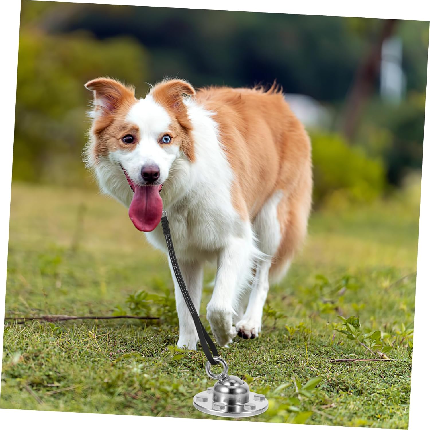 Yardwe Dog Stake Tie Out Set Ground Stake for Dog Leash Portable Heavy Duty Anchor Rotation Design