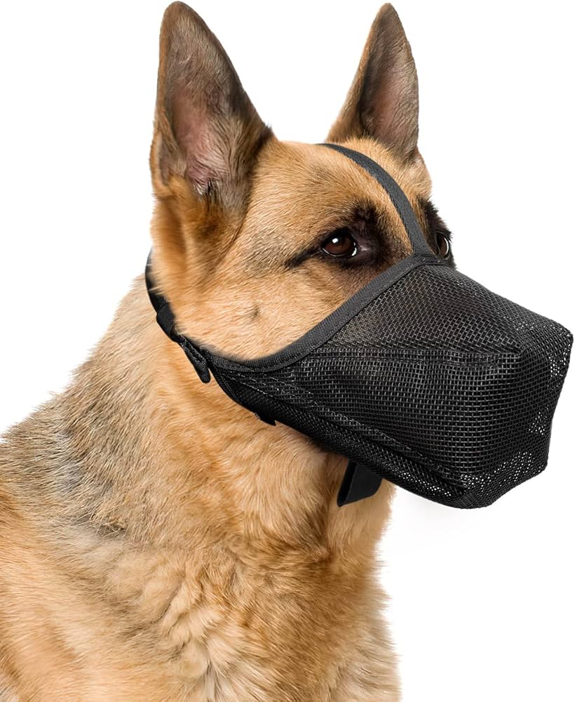 Working Dog Dry Goods Muzzle atelieryuwa.ciao.jp
