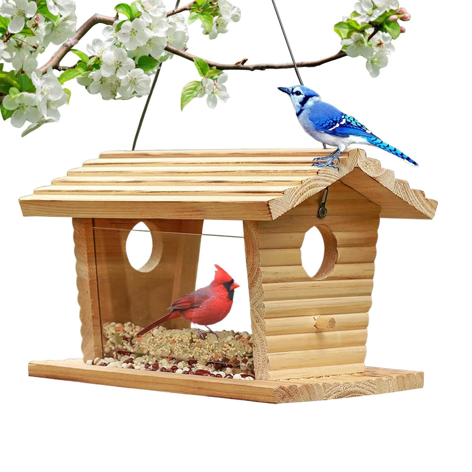 Mangeoire pour oiseaux colibri pinceau bleuet en bois extérieur