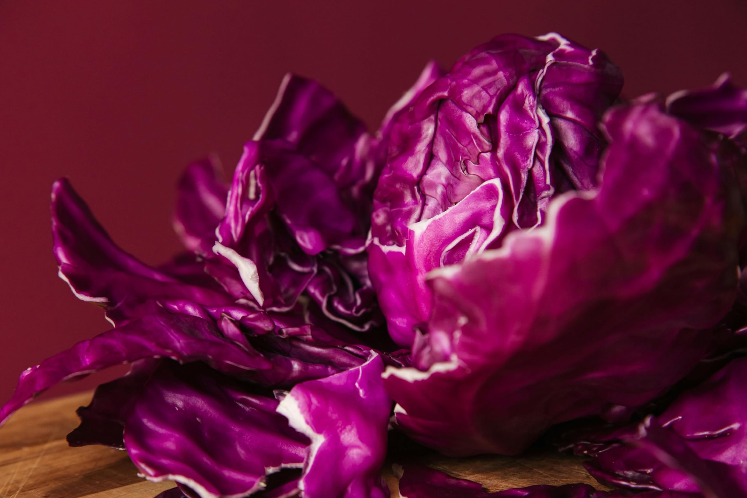 Mr McGregors Red Cabbage Garden Ready Plug Plants, Grow Your Own Vegetables (4)