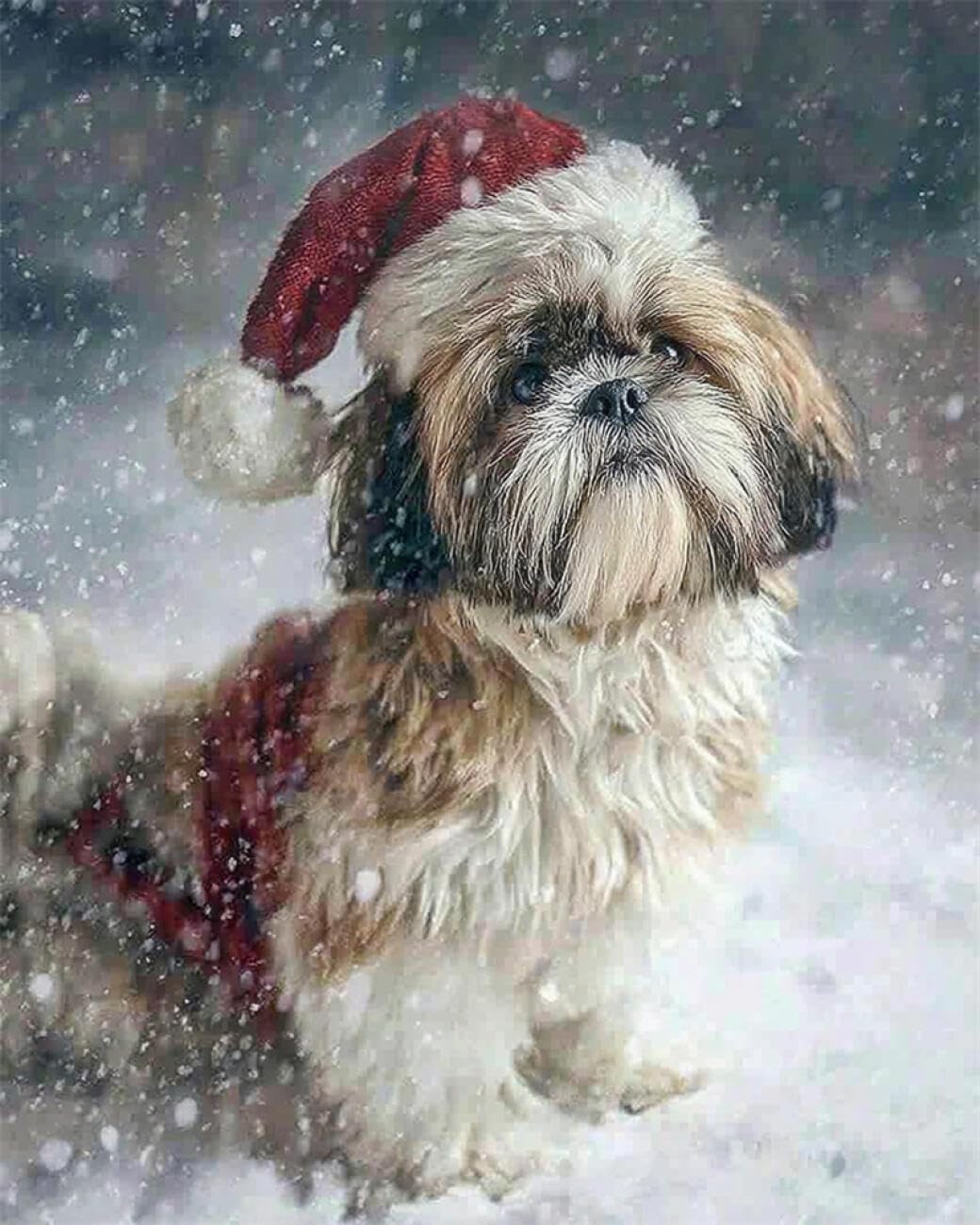 RKFLGEW DIY Embroidery Set Shih Tzu Oil Painting 50x70cm