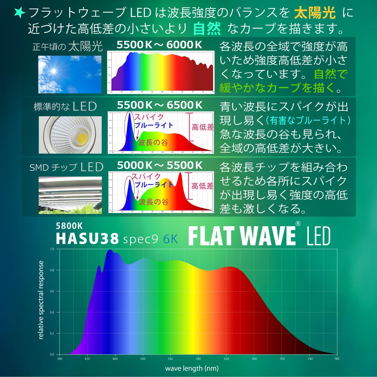 Amazon.co.jp: HaruDesign 植物育成ライト HASU38 6K ホワイトボディ