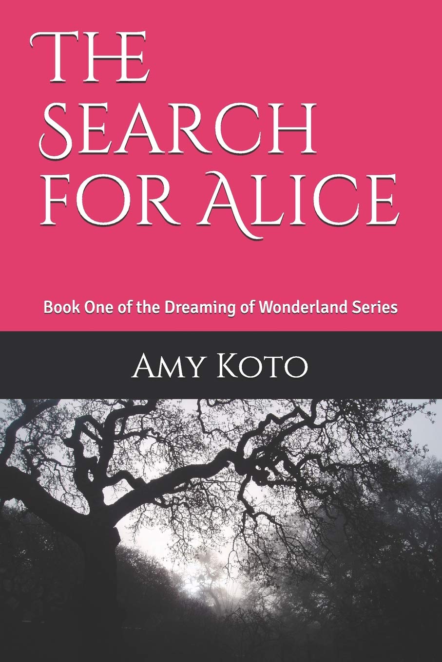 The Search for Alice: Book One of the Dreaming of Wonderland Series: 1