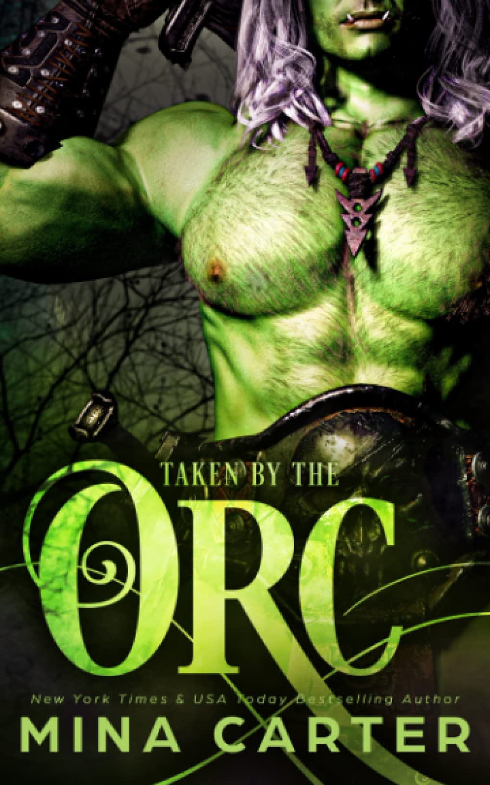Taken by the Orc: 2 (Mist-Rift Monster Romance)