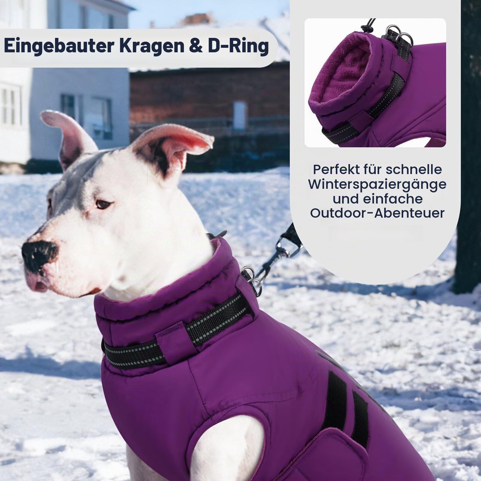 IECOii Winterjacken & Wintermäntel Für Hunde,Warme Hundejacke Winter,Wasserdichter Hundemantel,Verstellbarer Hundemantel Winter,Reflektierende Hundejacke Wasserdicht,Gürtel WinterHundemantel,Lila,5XL