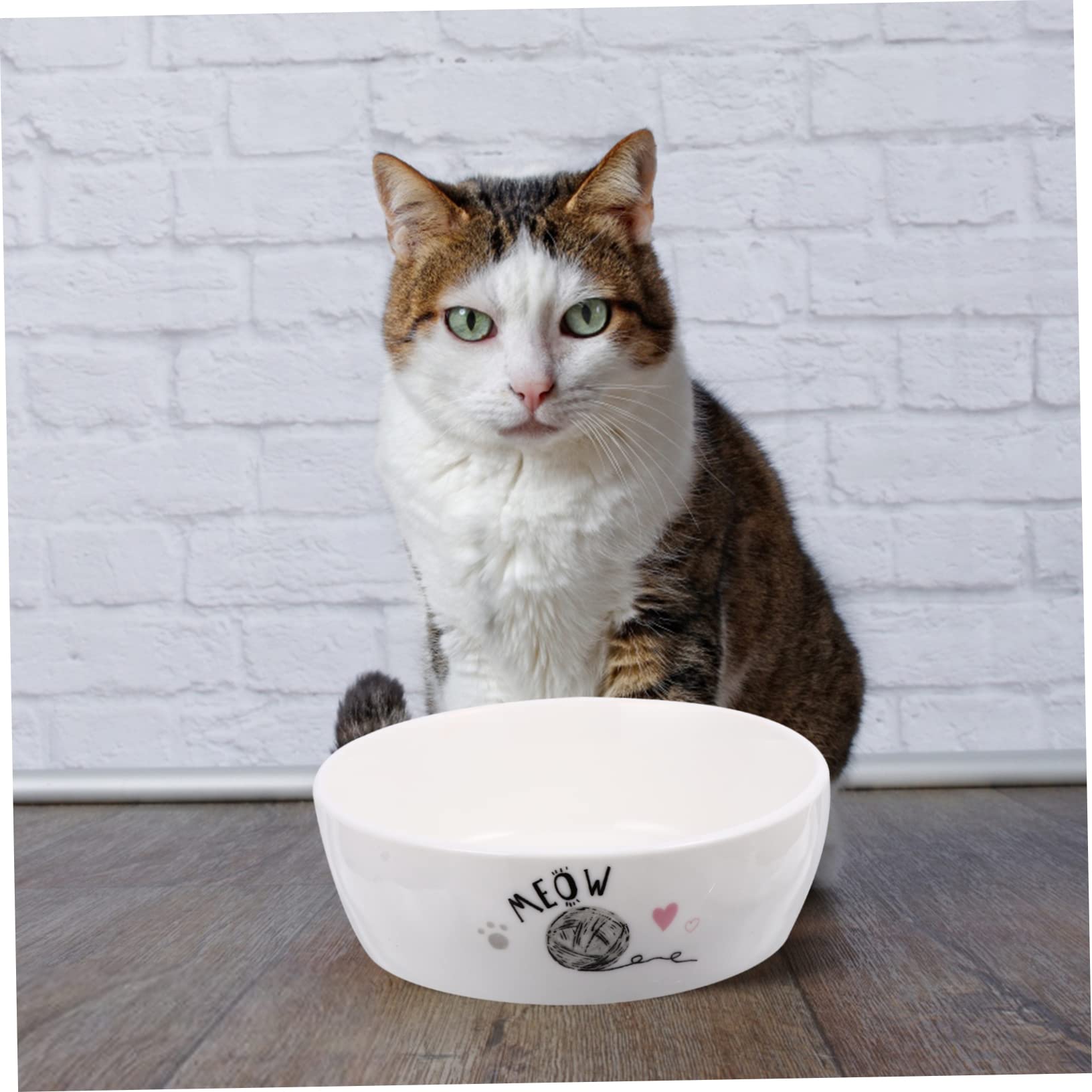 Cuenco De Comida para Gatos y Gatitos De Cerámica Antideslizante, Diseño De Dibujos Animados, Tamaño Mediano, Apto para Alimento Seco y Húmedo, Uso Doméstico para Mascotas Pequeñas