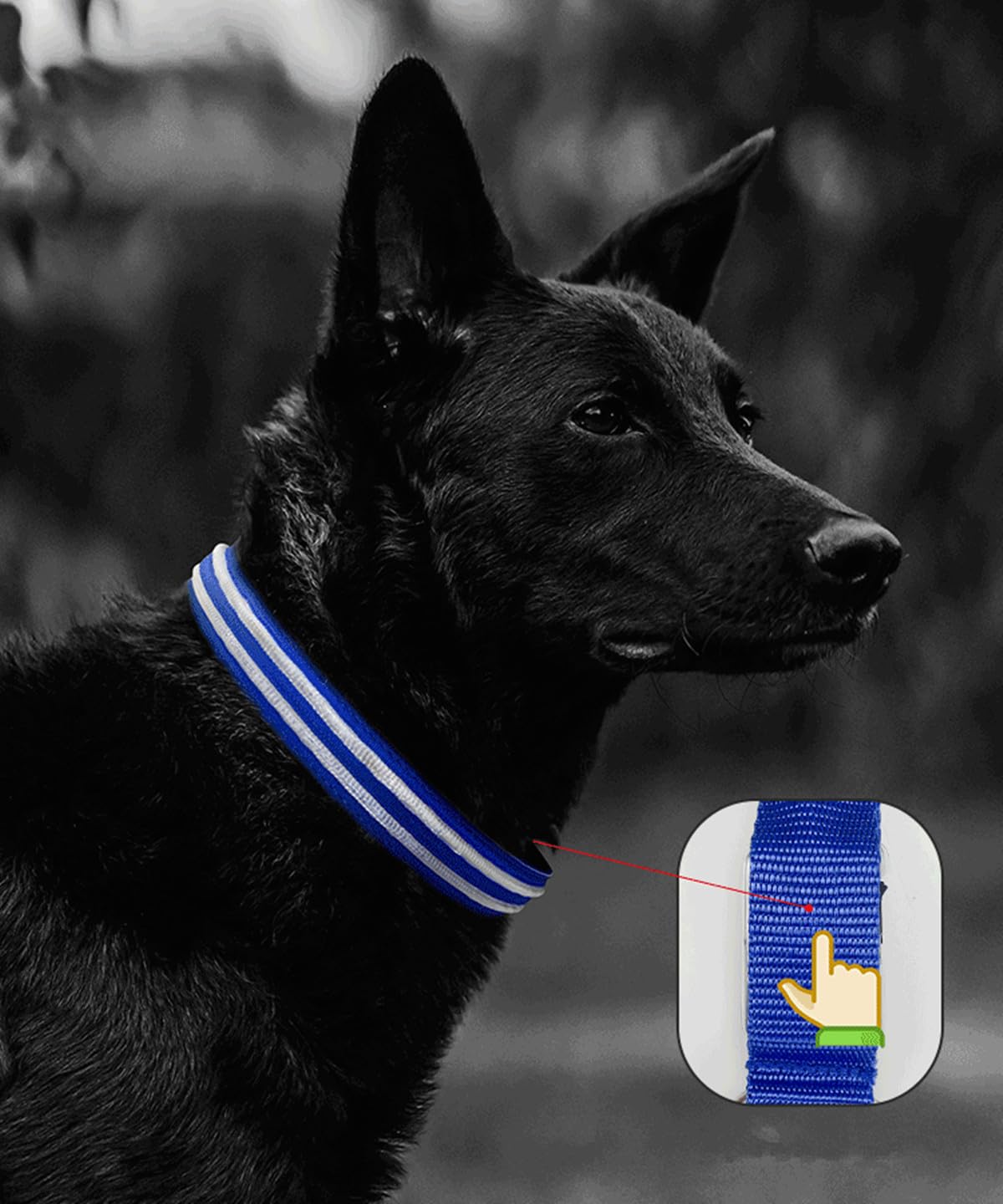 Collar de Perro led, Encendido del Collar del Perro Impermeable Carga USB Parpadeante Collar del Perro LED 3 Modos para Perros pequeños medianos Grandes (M, Rosa)