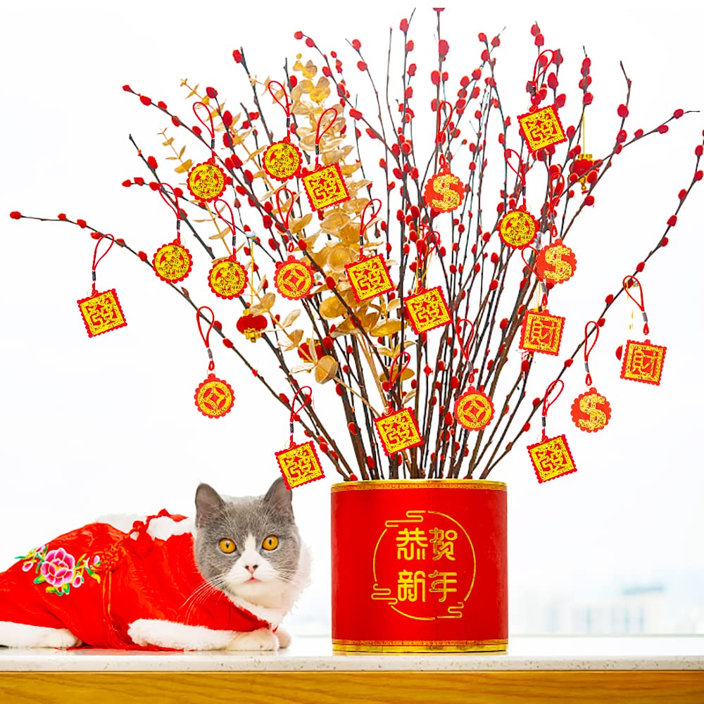 Amazon.com: 40 Pieces Chinese New Year Ornaments,2026 Fu Character