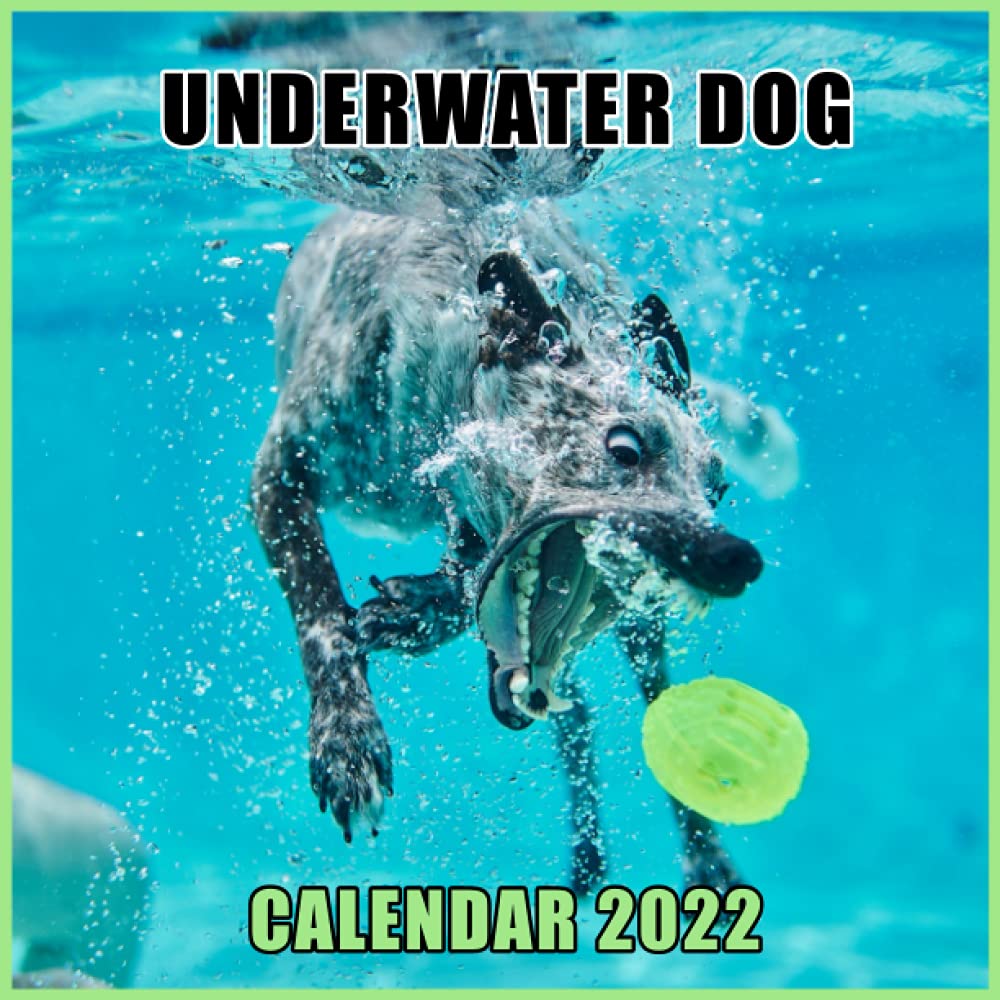 Buy Underwater Dogs 2022 Monthly from January 2021 to December 2022