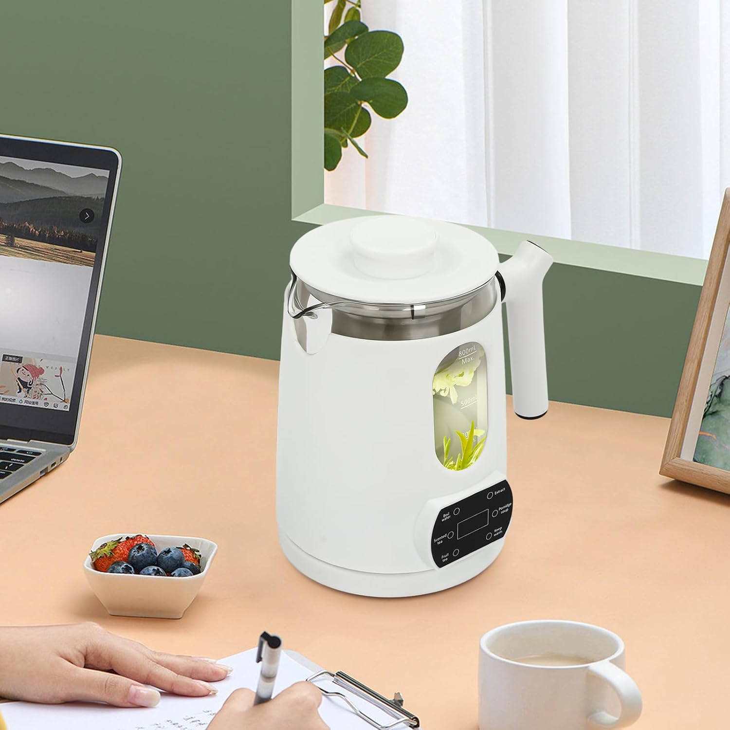 Temperature Control Electric Tea Kettle 0.8L, Electric Water Boiler & Heater with Tea Steamer Mesh, Stainless Steel & Glass Corded Kettle, 6 Functions, White/Green for Home, Office, Bar (White)