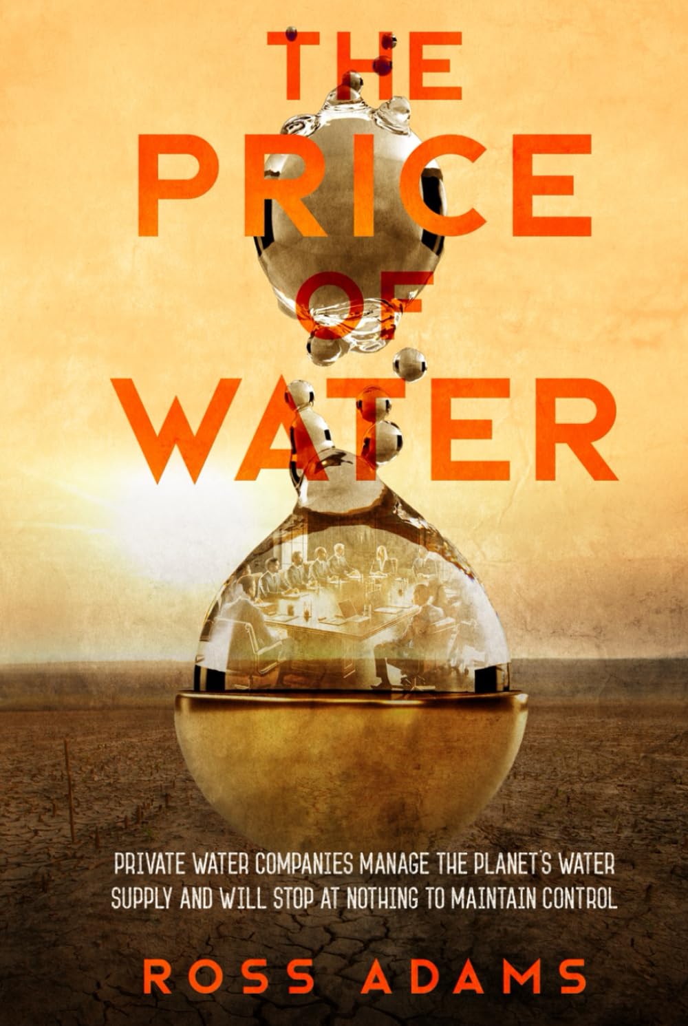 The Price of Water