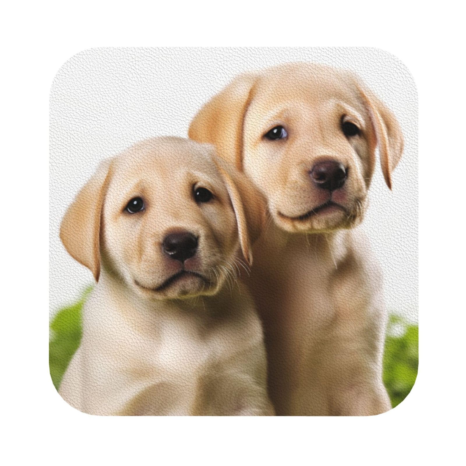 Fodpand Square Funny Labrador Puppy Dog Drink Coasters Set Of 4, Heat Resistant Leather Coasters Fuuny Bar Beer Beverage Coaster For Drinks, Absorbent Cup Mat For Tabletop Protection, Housewarming Gift