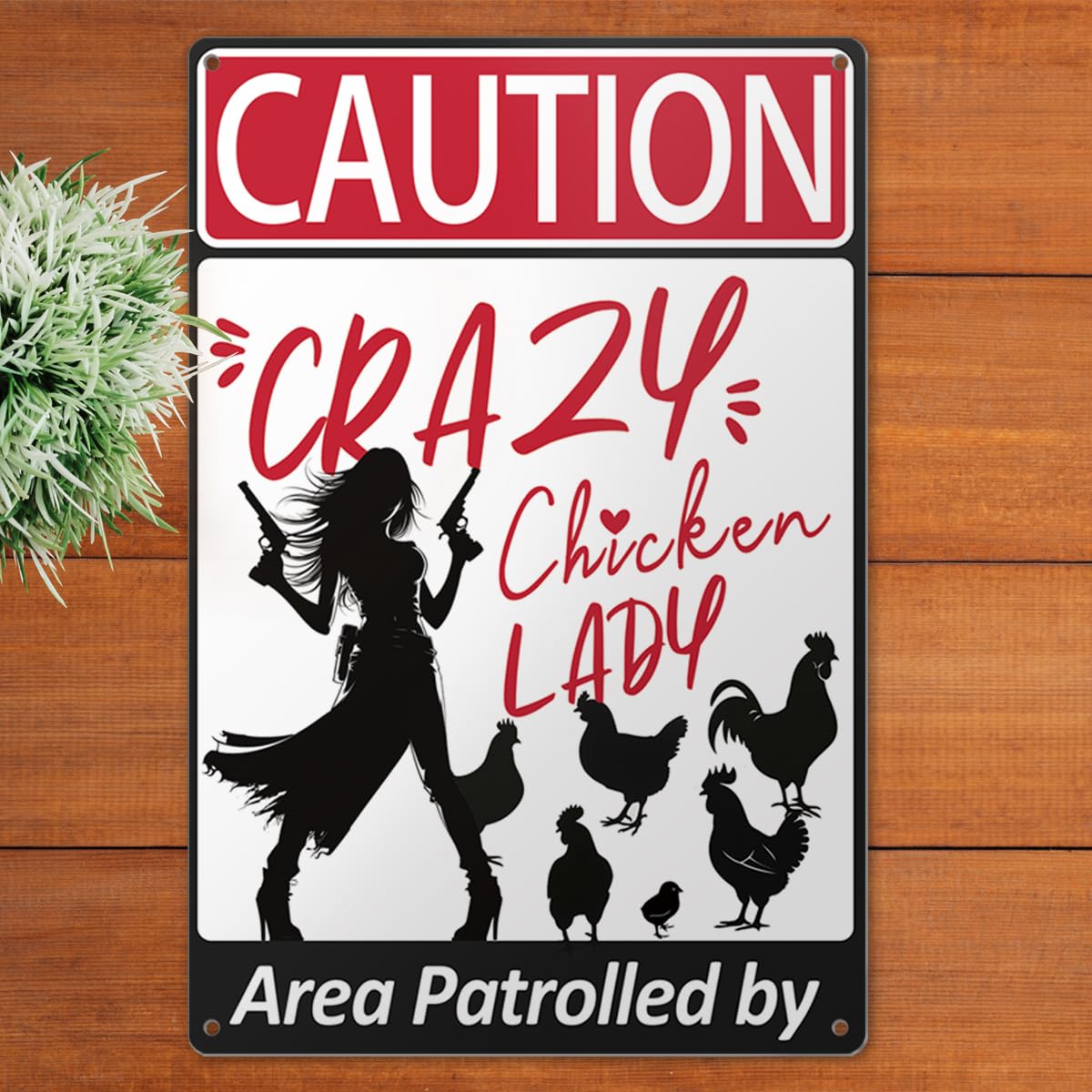 DAGUI Schild „Area Patrolled By Crazy Chicken Lady“ – Witzige Garten-Deko, Metall, 30,5x20,3 Cm