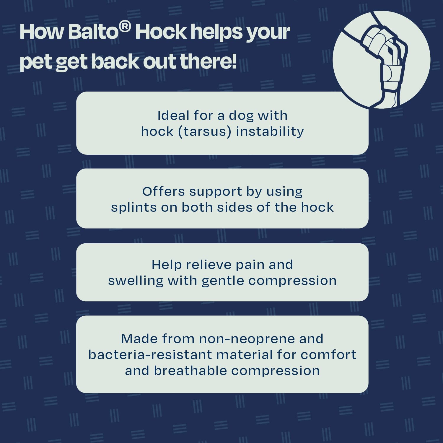 Aparato ortopédico convalecente para perro, Balto BT HOCK talla L