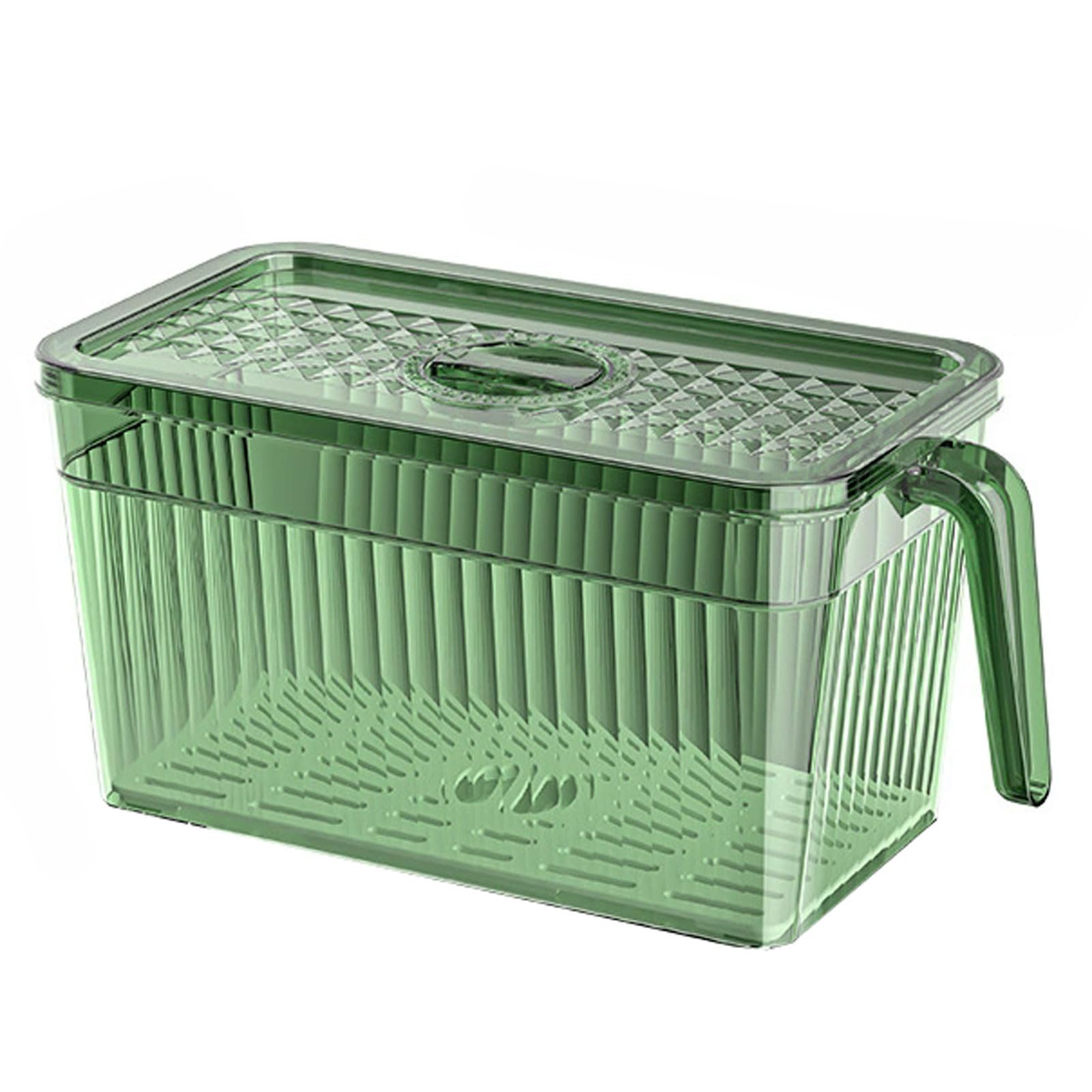 FOELANNE PET Fridge Storage Container with Lid and Handle