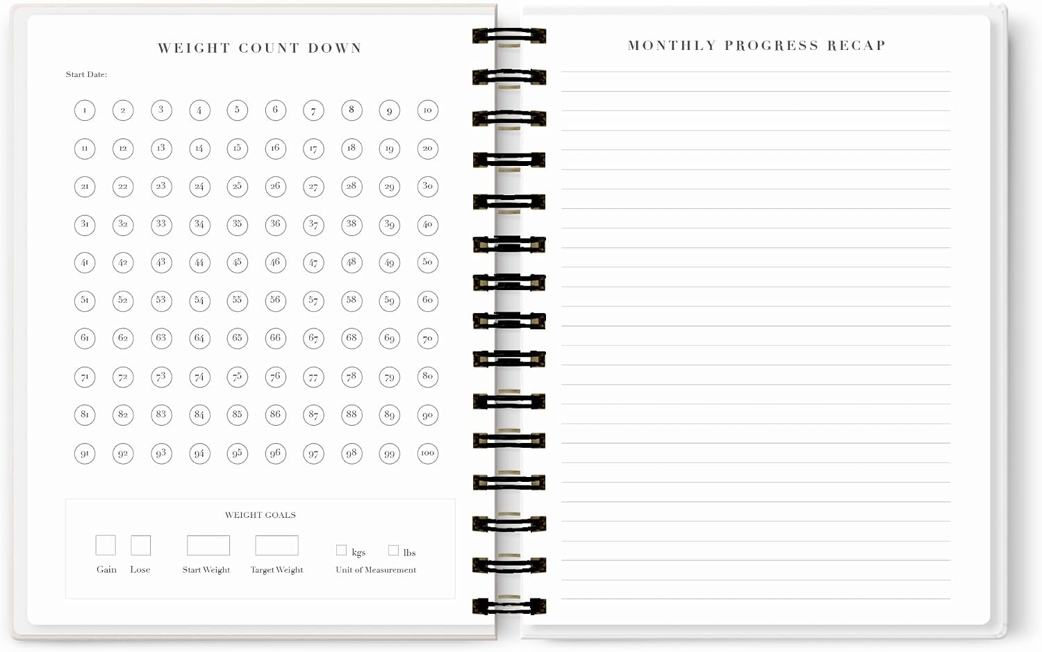 Liza Marie Fit x NORTH + THIRD 'All The Things' 2023 160 Pages Pink Faux Leather Quarterly Planner