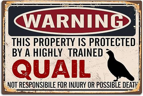 Letrero de advertencia de codorniz divertido con texto en inglés "Warning Property Protected by Quail" (propiedad protegida por codorniz), letrero