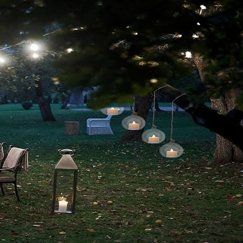 Miniatura 4 de BlogBlog Globos de vidrio colgantes, Candelabros colgantes de luz de té, Soportes para plantas de aire, Terrarios de plantas, Florero de pared