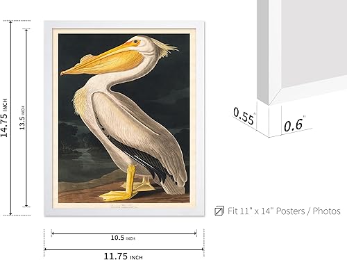 Miniatura 109 de Poster Master Póster vintage de flamenco americano, estampado retro de flamenco rosa, arte de pájaro, regalo para él, ella, amante de los animales,