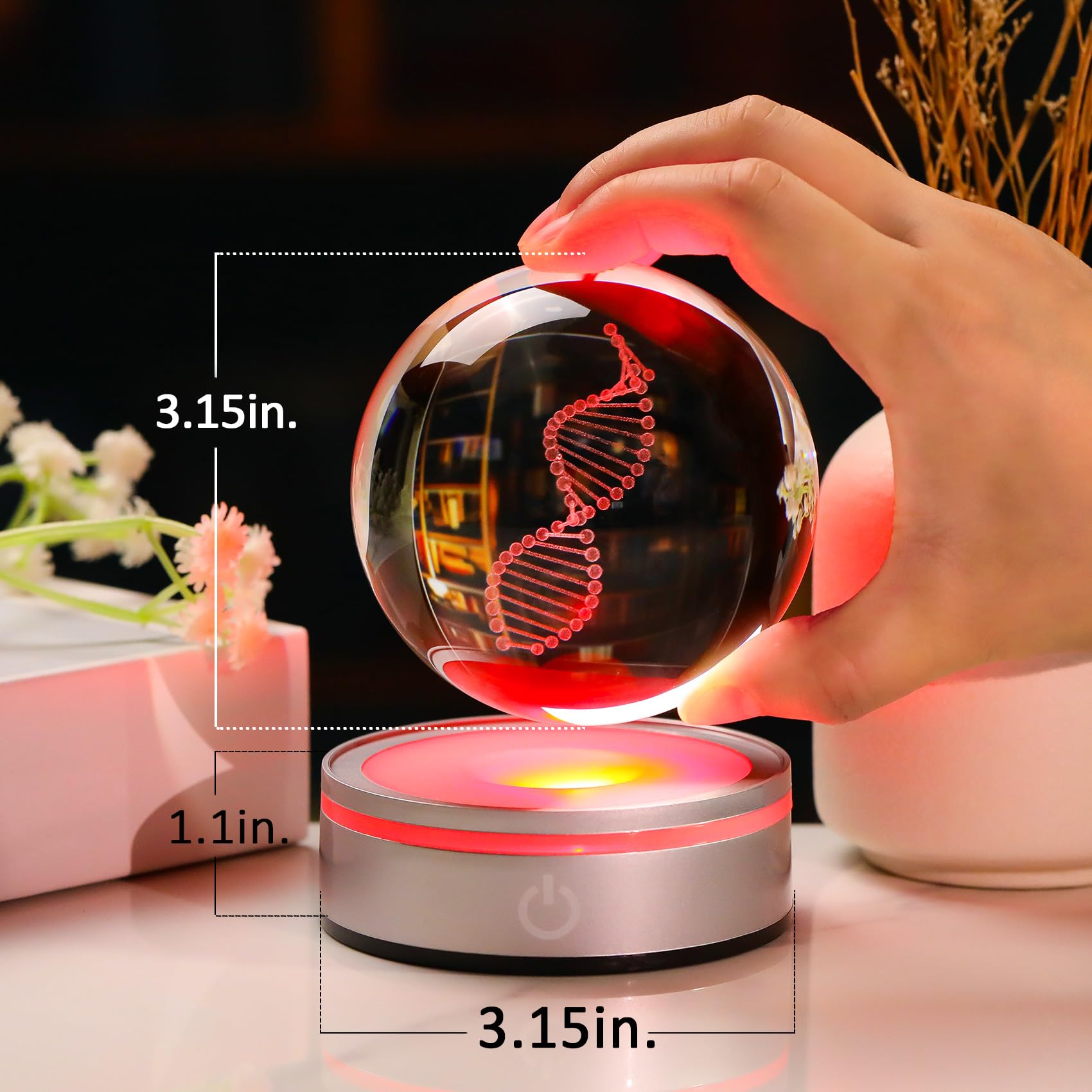 Sfera di cristallo DNA con base a LED, decorazione scientifica unica con incisione laser 3D, regalo per insegnanti di biologia, studenti di medicina e amanti della scienza, luce notturna
