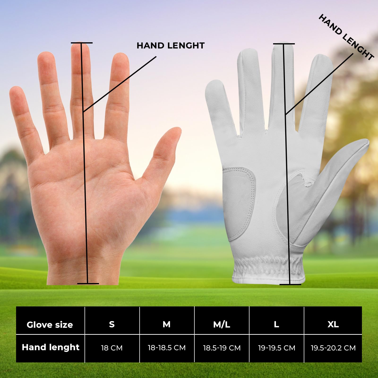 View 8