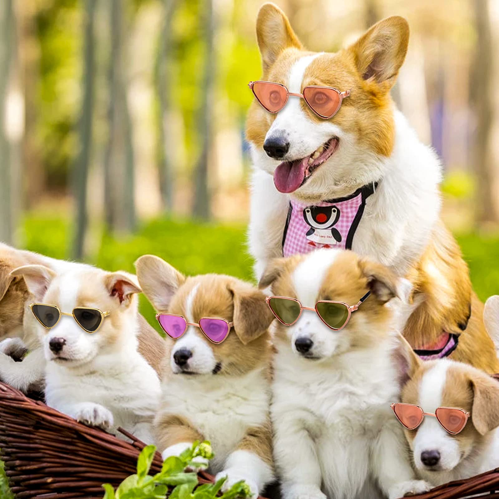 Molain Occhiali da sole per gatti, protezione dai raggi UV, stile classico retrò per cani bambole occhiali da sole rotondi cosplay simpatici sole (4 pezzi cuore)