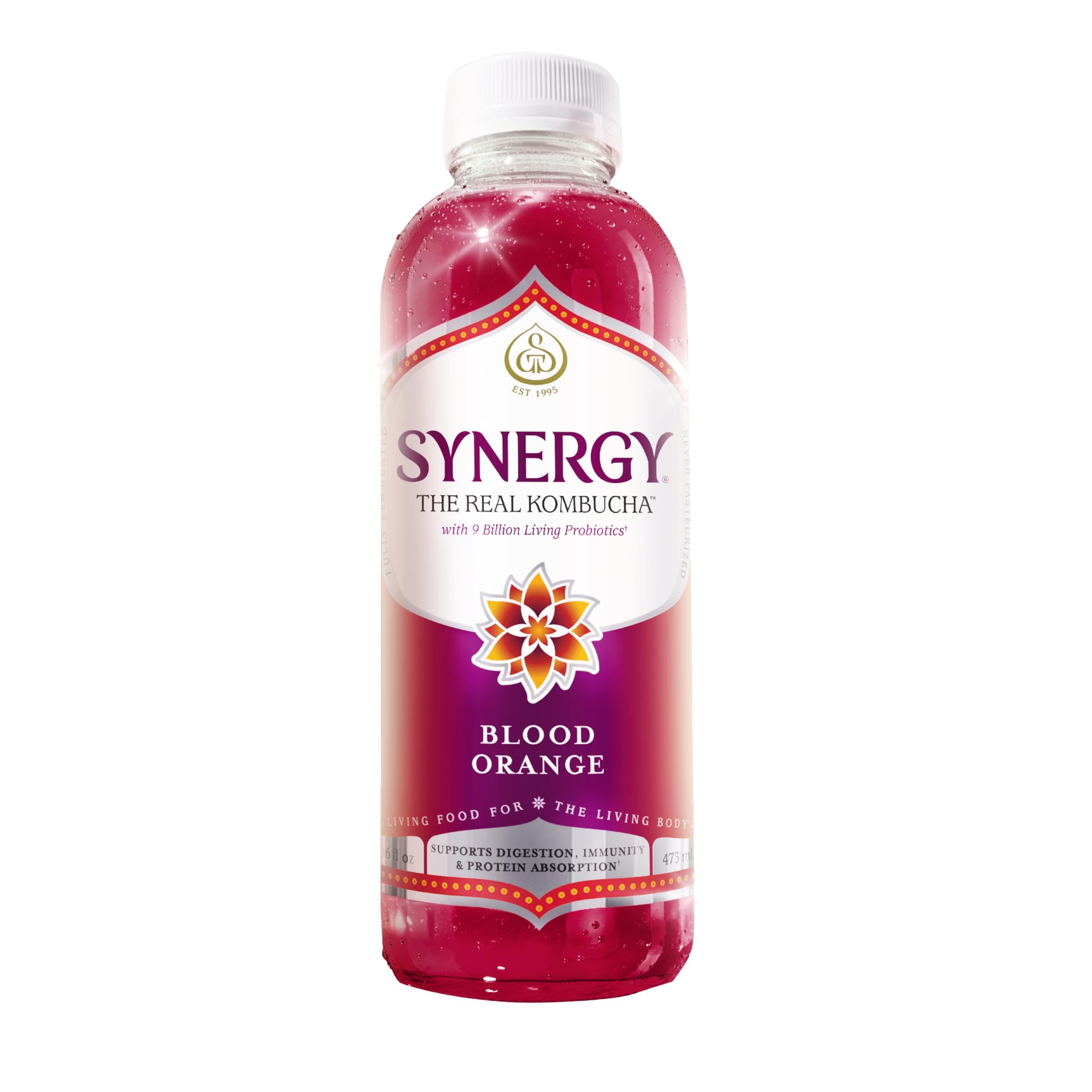 Amazon.com: SYNERGY The Real Kombucha - Blood Orange - 16 fl oz