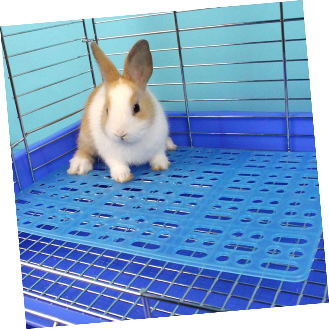 Hemobllo Tappetino di Plastica ABS per Gabbie di Coniglio e Roditori 6 Unitá, Protezione per Piedini e Fondo Versatile per Animali Domestici