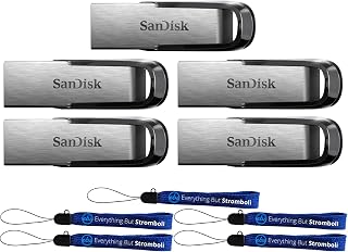 SanDisk USB Type A Ultra Flair (5-Pack) 512GB Flash Drive Up to 150 MB/s Read Speed Compatible with Laptops and Personal Computers -SDCZ73-512G-G46- Bundle with (5) Everything But Stromboli Lanyards