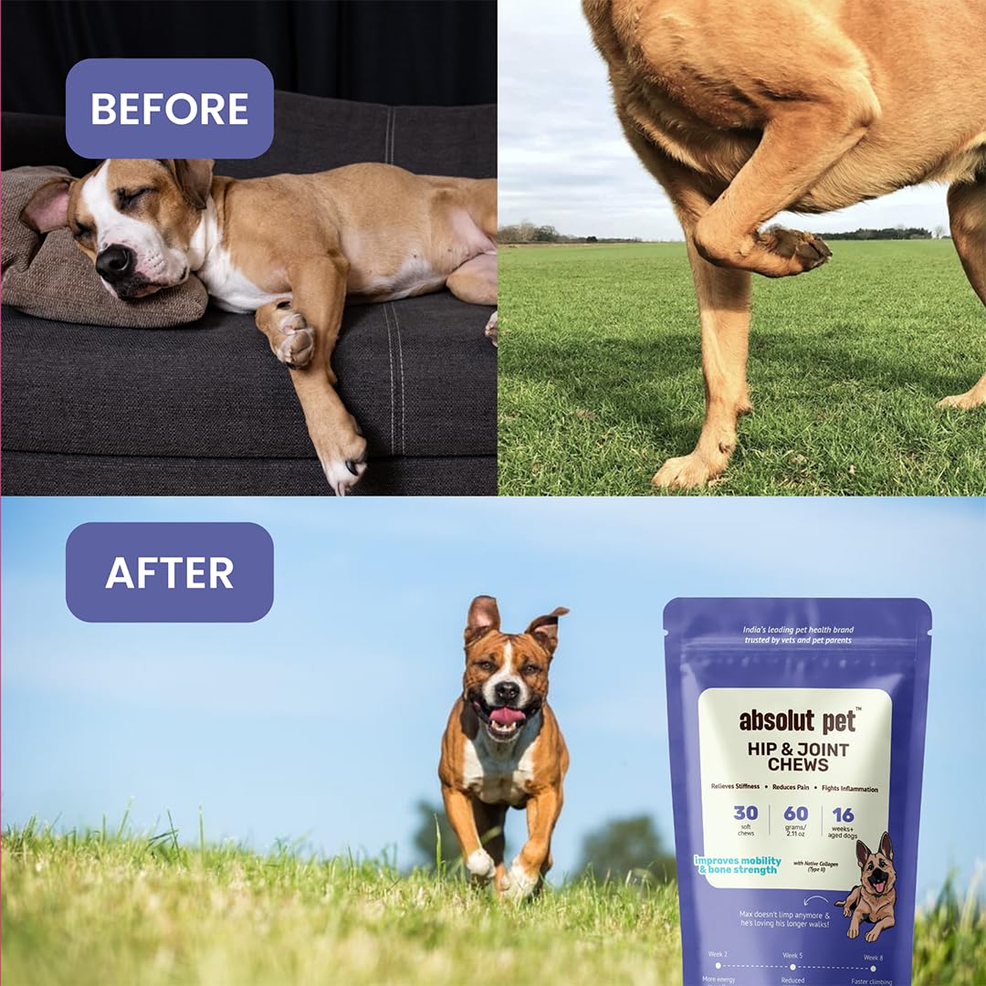 Absolut Pet Hip & Joint + Probiotic Dog Chews, Mobility & Gut | Combo — Amazon image 3