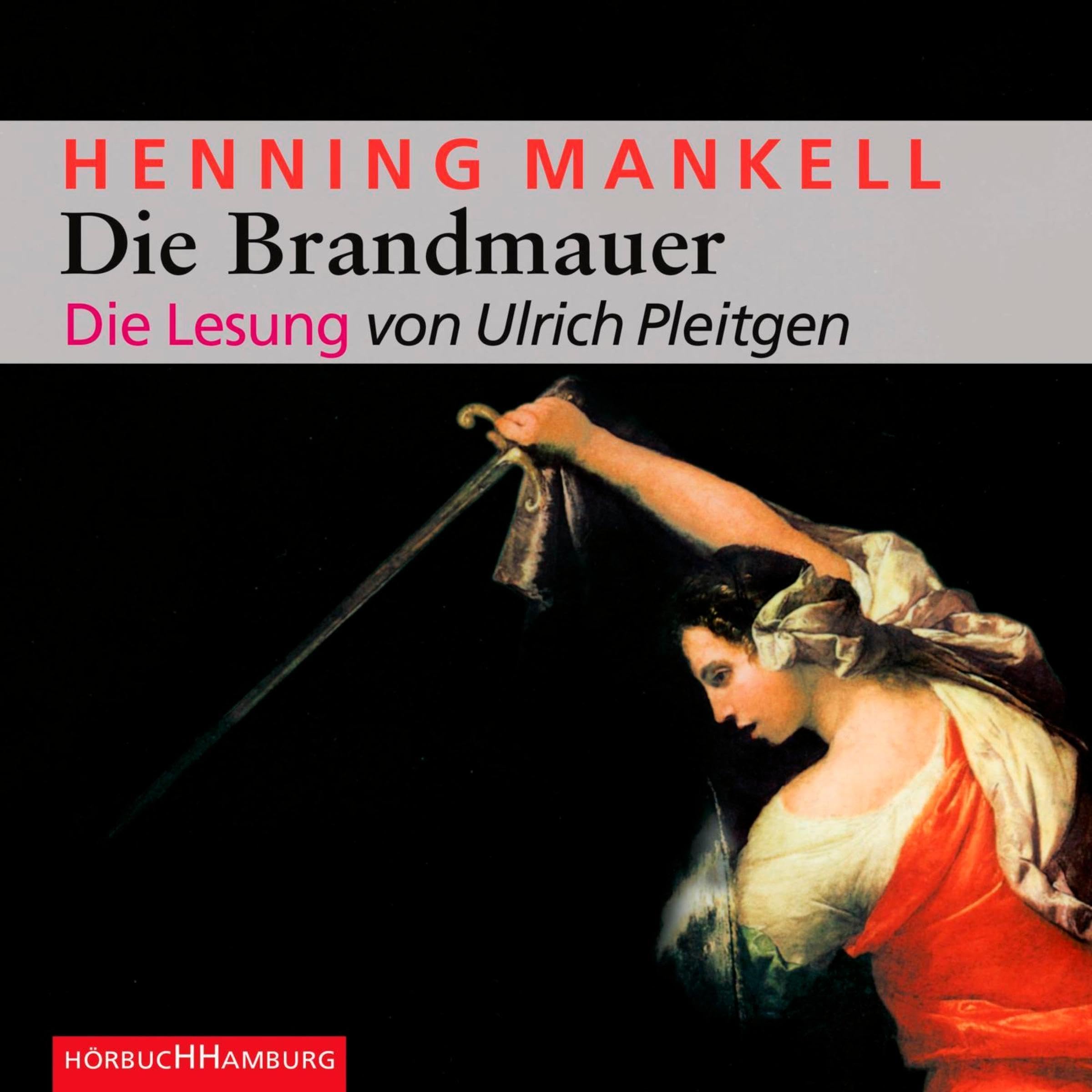 Cover art for Die Brandmauer