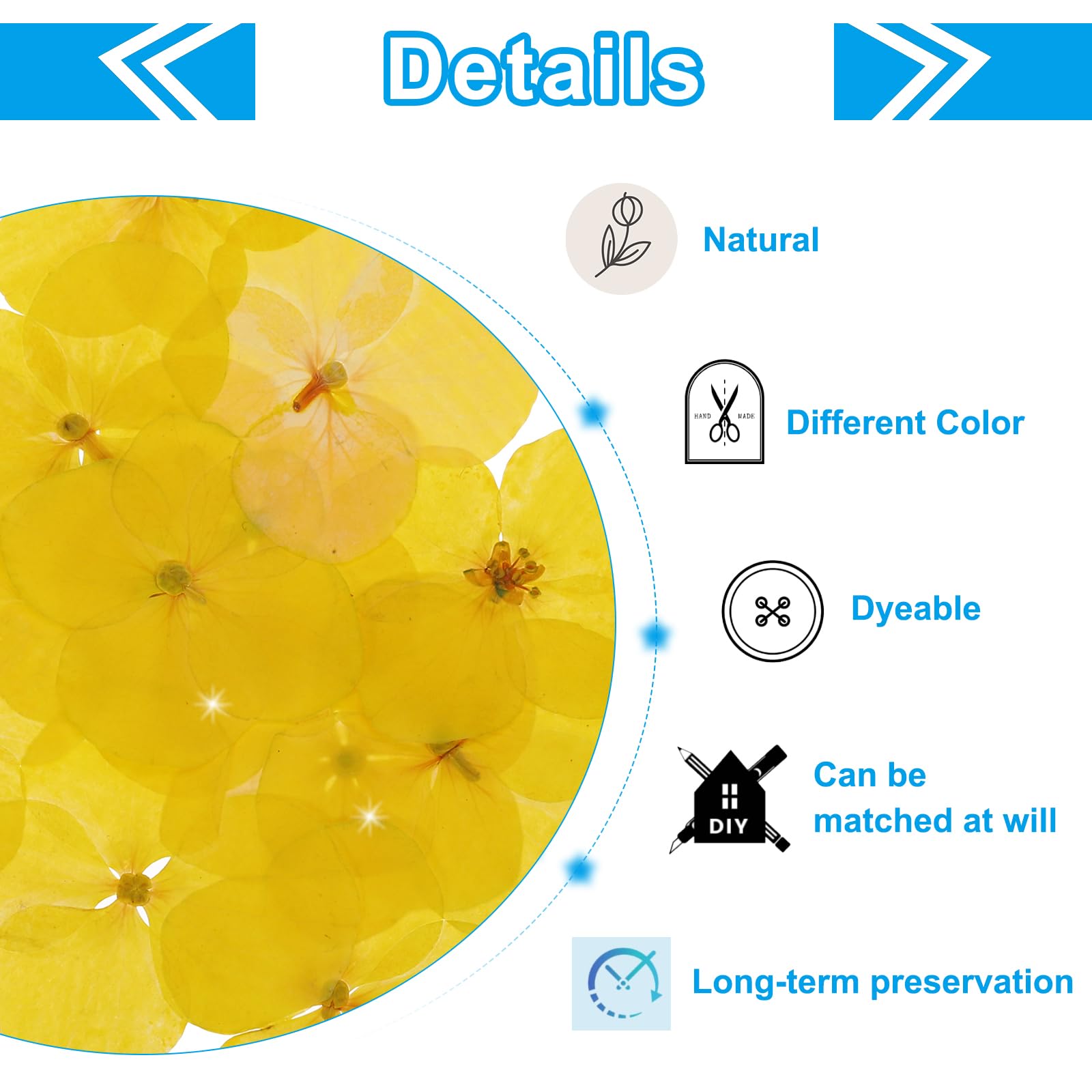 Flores Prensadas Secas 48 Unidades | Para Manualidades, Resina, Scrapbooking - Color Amarillo, Tamaño 1.5-2.5cm