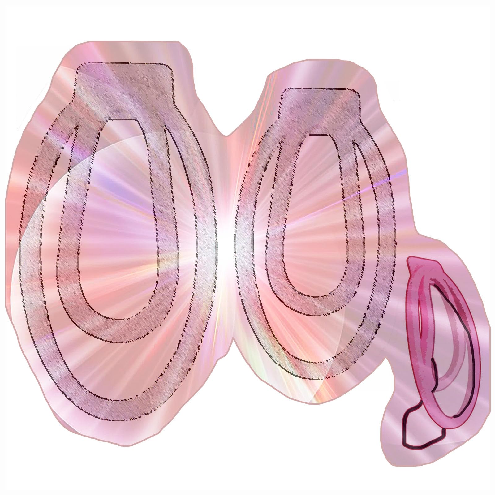 Male Portable Protection Clips, 2 Different Sizes Protection Cage Accessories for Men -HA2402 (White)